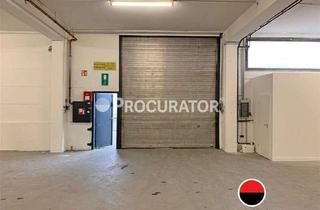 Büro zu mieten in 22113 Billbrook, Lagerhallen ebenerdig ab ca. 570 m² mit Meisterbüro!