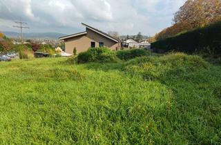 Grundstück zu kaufen in 79589 Binzen, Tolles Grundstück in guter Lage von Binzen!