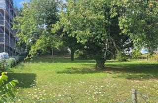 Grundstück zu kaufen in 75438 Knittlingen, Großes Baugrundstück in Knittlingen - Flexible Bebauung gemäß §34 BauGB