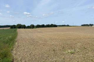 Grundstück zu kaufen in 85406 Zolling, Schön gelegenes Ackergrundstück bei Zolling