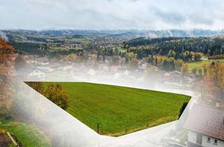 Grundstück zu kaufen in 94227 Zwiesel, Großes Feld Zwiesel