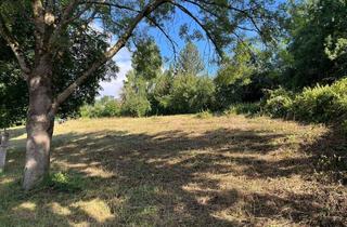 Grundstück zu kaufen in 73575 Leinzell, Baugrundstück mit Südausrichtung in Leinzell – Hanglage mit Potenzial