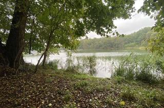 Grundstück zu kaufen in 16244 Schorfheide, Naturgrundstück in Pool-Position am Kleinen Bukowsee