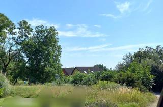 Grundstück zu kaufen in 76547 Sinzheim, Tolles Baugrundstück in gehobener Lage von Sinzheim-Vormberg!