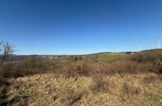 Gewerbeimmobilie kaufen in Liebfrauenberg 41, 55590 Meisenheim, Großes Grundstück am Gesundheitszentrum Glantal in Meisenheim