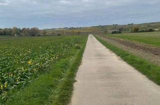 Gewerbeimmobilie kaufen in 55296 Harxheim, Ausgezeichnet angebundener Acker an der L425 südlich Mainz - 0,7 ha - zum Eigennutz oder Verpachtung