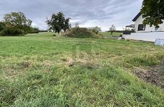 Grundstück zu kaufen in 71299 Wimsheim, VERWIRKLICHEN SIE IHREN TRAUM VOM EIGENENHEIM