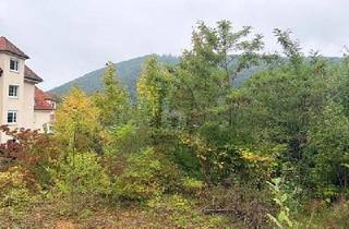 Grundstück zu kaufen in 79379 Müllheim, FERTIGES PROJEKT SUCHT UMSETZUNG!