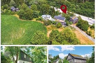 Haus mieten in Lehesten, 07927 Hirschberg, 3 Seiten Hof sucht Handwerker zur Miete