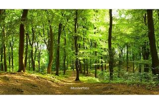 Immobilie kaufen in 94261 Kirchdorf im Wald, Waldflächen - provisionsfrei