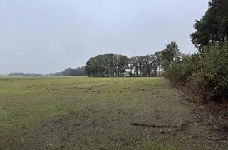 Immobilie kaufen in 48691 Vreden, Landwirtschaftliche Fläche in Vreden "Gaxeler Mark" zu verkaufen!