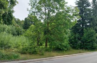 Immobilie kaufen in Marktstrasse 2a, 38678 Clausthal-Zellerfeld, Baugrundstück 1.147 qm in Clausthal-Zellerfeld provisionsfrei