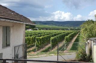 Haus kaufen in 67273 Herxheim am Berg, Herxheim am Berg - Zwei Häuser mit Weinbergsblick - sanierungsbed. Schmuckstück