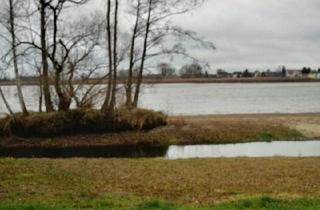 Haus kaufen in 06862 Dessau-Roßlau, Dessau-Roßlau - Wochenendhaus am See zu verkaufen. Anglerparadies