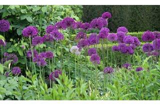 Haus kaufen in 83346 Bergen, Bergen - Provisionsfrei: Traum-2-Familienhaus in Bergen