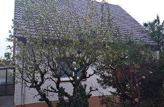 Einfamilienhaus kaufen in 32758 Detmold, Detmold - Einfamilienhaus