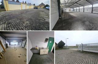 Geschäftslokal mieten in 04683 Belgershain, Pfeilerfreie Halle mit Rolltor, Lager, Büro, Teeküche, Umkleide, WC, Dusche & Freifläche, Nähe A38