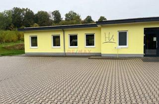 Gewerbeimmobilie mieten in 35647 Waldsolms, Modernes, hochwertiges Gewerbegebäude mit bester Energieeffizienzklasse A+