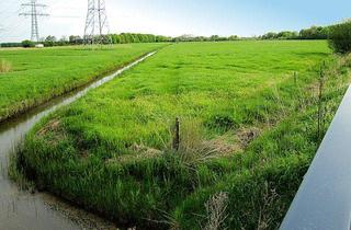 Grundstück zu kaufen in 26452 Sande, Acker- und Grünlandflächen an der B 436 26452 Sande, 26446 Friedeburg OT Horsten