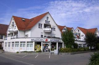 Wohnung kaufen in 88048 Friedrichshafen, Extravagante 1,5 Zimmerwohnung mit Schlafnische im Dachspitz in Friedrichshafen