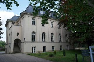 Wohnung kaufen in Comeniusstraße 101, 01309 Striesen-Süd, Wohnen in Striesen am Großen Garten - helle 4-Zimmer-Maisonette-Wohnung mit Balkon in Villa