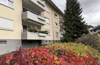 Wohnung mieten in 77960 Seelbach, Neu renovierte, gepflegte 2-Zimmer-Wohnung mit neuer EBK in Seelbach