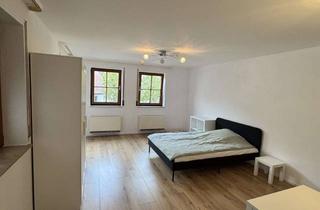 Wohnung mieten in 71111 Waldenbuch, Erstbezug nach Sanierung mit Einbauküche und Balkon: freundliche 1-Zimmer-Wohnung in Waldenbuch