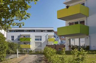 Wohnung mieten in Am Riedbaum 31, 72488 Sigmaringen, Modern und gemütlich: 2 Zimmer-Wohnung mit Balkon