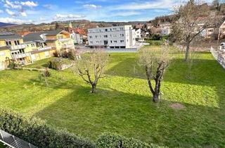 Penthouse mieten in 79418 Schliengen, Nadel i. Heuhaufen Penthouse-Whg 3 Zimmer 2 Balkone u. Einbauküche in Schliengen