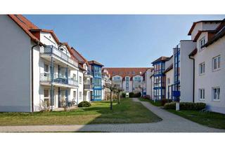 Wohnung mieten in 04463 Großpösna, Helle 3-Zimmer-Wohnung mit Balkon in gepflegtem Mehrfamilienhaus – sofort bezugsfrei!