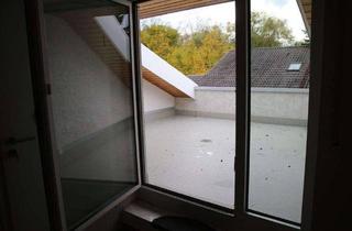 Wohnung mieten in Ziegelmoosstraße 25, 86641 Rain, Große Wohnung mit Dachterrasse u. Gartenanteil, zentral und ruhig in Rain