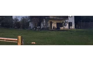 Wohnung mieten in 64686 Lautertal, Untergeschoss-Wohnung mit großem Hof – perfekt für Büro oder Praxis