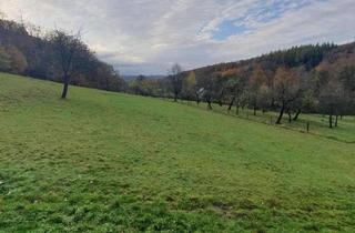 Wohnung mieten in Dürerweg 42, 58509 Lüdenscheid, Grebbecke! Frisch renovierte 2,5-Zi. Whg., KDB, Stellplatz, Terrasse, Garten u. Panoramablick!