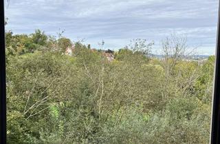 Wohnung mieten in 96049 Bamberg, Außergewöhnliche Lage - sehr schöne 2-Zimmer Wohnung im Grünen mit neuer Einbauküche & Stellplatz