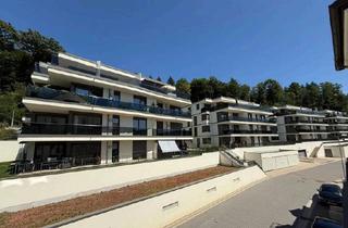 Penthouse mieten in Anna-Pfund-Straße, 77933 Lahr, Exklusives Penthouse mit 107 m² und Balkon in Lahr/Schwarzwald