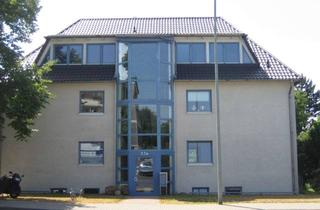 Wohnung mieten in 38300 Wolfenbüttel, großzügiges 1-Zimmer Appartment