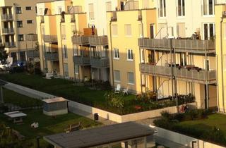 Wohnung mieten in Erich-Mendelsohn-Allee 6-12, 14469 Bornstedt, Sonnige 3 -Zimmer-Wohnung mit großer Dachterrasse