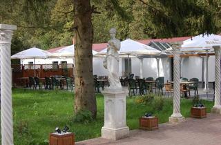 Gewerbeimmobilie kaufen in Lubenbachstr, 98544 Zella-Mehlis, Traumhafte Pension, Restaurant & Wohnung auf 6.487 m² im Herzen des Thüringer Waldes