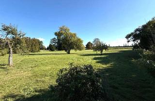 Haus kaufen in 16775 Löwenberger Land, Großflächiges dörfliches Anwesen mit historischen Gebäuden