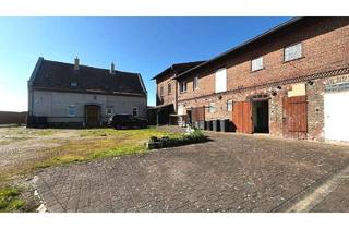 Haus kaufen in 06780 Zörbig, Zwei Häuser, ein Lebens(t)raum – Ihr Platz für Familie, Handwerk & Visionen