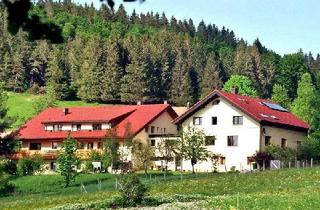 Haus kaufen in 79837 Ibach, Idyllisches Wohnhaus und Gästehaus