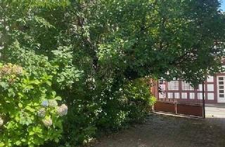 Haus kaufen in 63303 Dreieich, Gebäude-Ensemble in historischer Altstadt von Dreieichenhain!