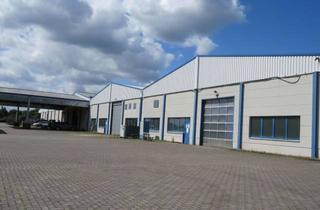 Gewerbeimmobilie mieten in Rockwellstraße 18, 38518 Gifhorn, freie Lagerfläche in Gifhorn