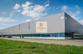 Gewerbeimmobilie mieten in 76689 Karlsdorf-Neuthard, Lager- Logistikflächen ab sofort frei, zur Miete!