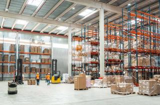 Gewerbeimmobilie mieten in 76646 Bruchsal, Lager- Logistikflächen ab sofort frei, zur Miete!