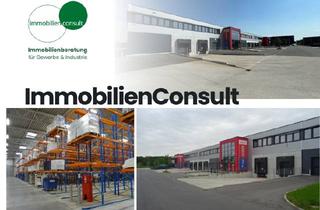 Büro zu mieten in 63110 Rodgau, ***NEUBAU*** 2.650 m² Hallenfläche + ca. 325 m² Büro-/Sozialfläche in Rodgau zu vermieten