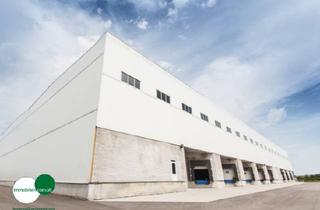 Büro zu mieten in 63263 Neu-Isenburg, 1.412 m² Rampenhalle mit Büro ( optional ) provisionsfrei zu vermieten