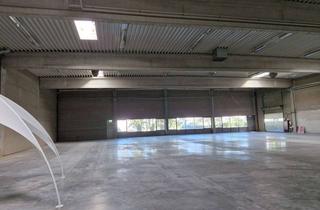 Gewerbeimmobilie mieten in 64347 Griesheim, Lagerhalle zur individuellen Nutzung in verkehrsgünstiger Lage von Griesheim