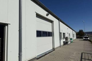 Büro zu mieten in 63571 Gelnhausen, 433 m² Lagerhalle mit Hallenbüros zu vermieten