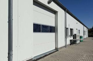 Büro zu mieten in 63571 Gelnhausen, 802 m² Lagerflächen inclusive Lagerbüros zu vermieten